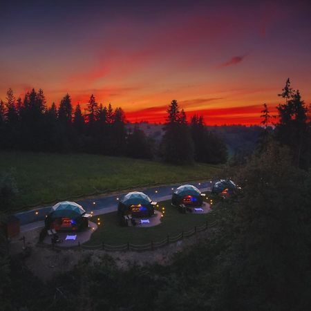 Peak Glamp & Jacuzzi Hotel Закопане Екстериор снимка