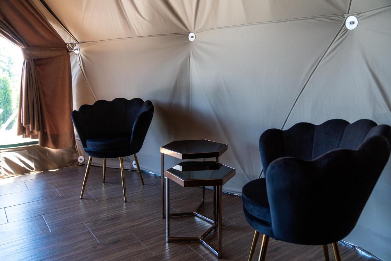 Peak Glamp & Jacuzzi Hotel Закопане Екстериор снимка